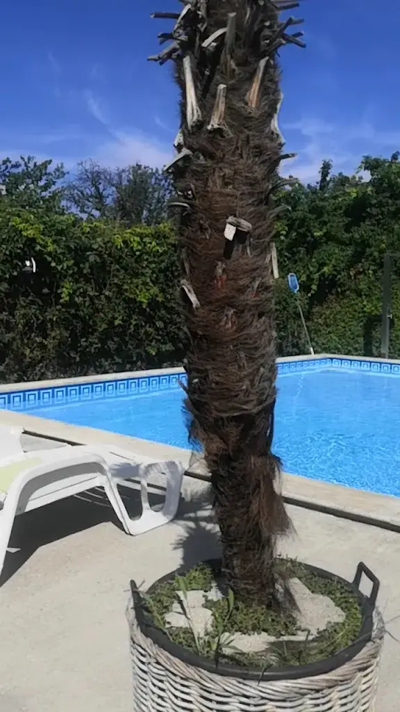 Hotel Hubertus Söchau ristorante a Söchau