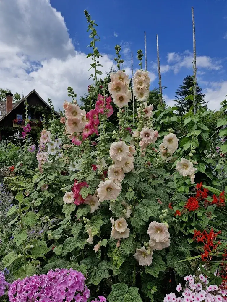 claudia schmocker_Alpengasthaus Messner_Soboth_avis