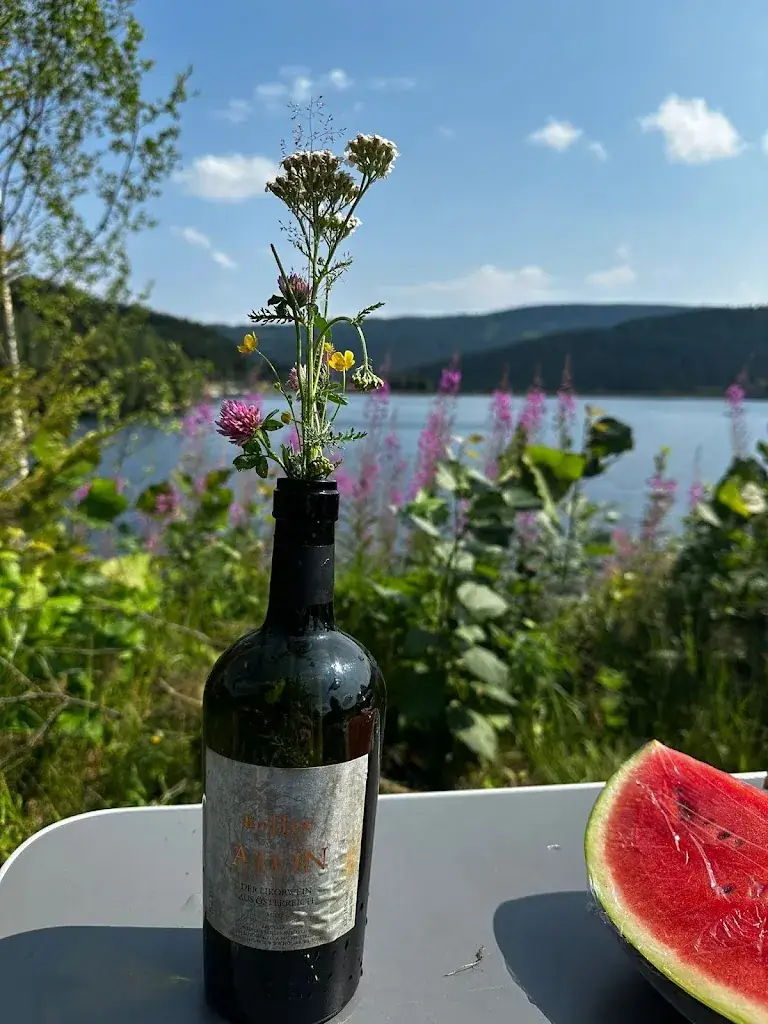 Sherin Wilke_Sobother Seetreff_Soboth_review