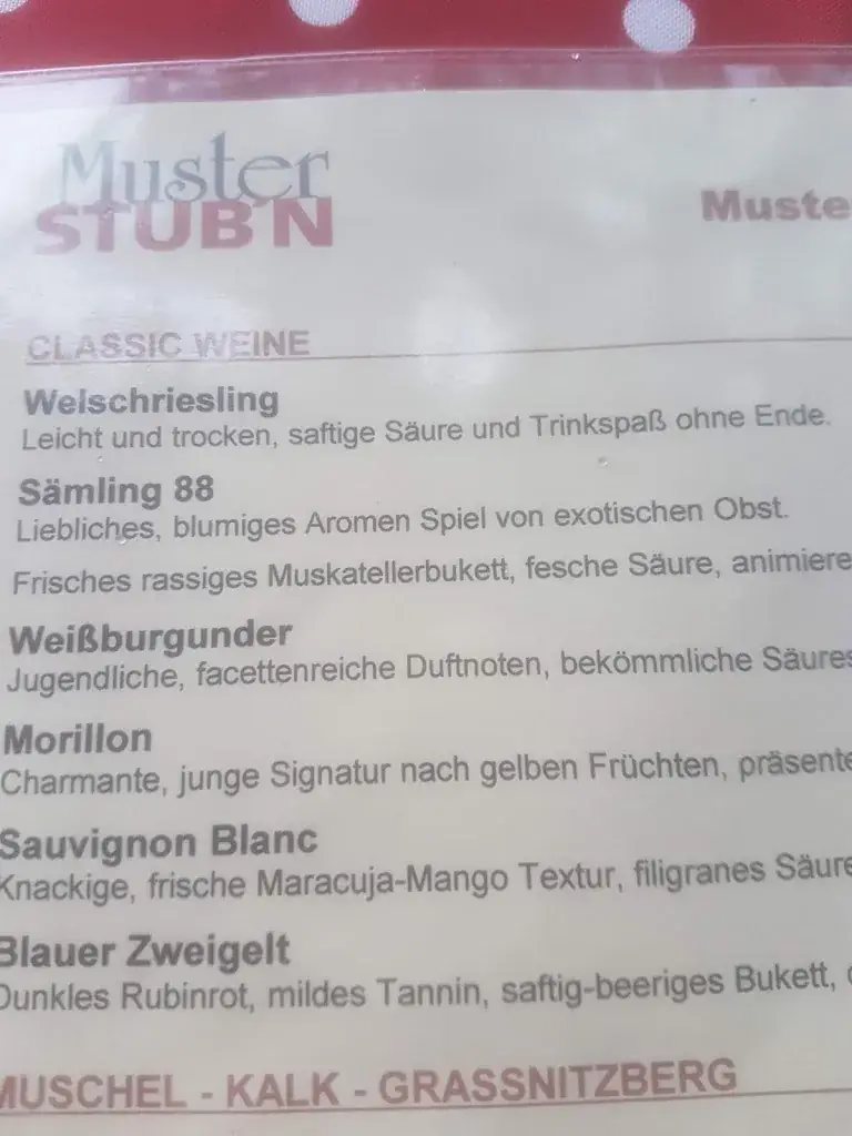 Menu_Muster-Stub'n_Spielfeld_image_3