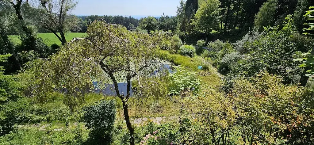 Fritz Wiedrich_Alpengarten Rannach_Stattegg_recensione