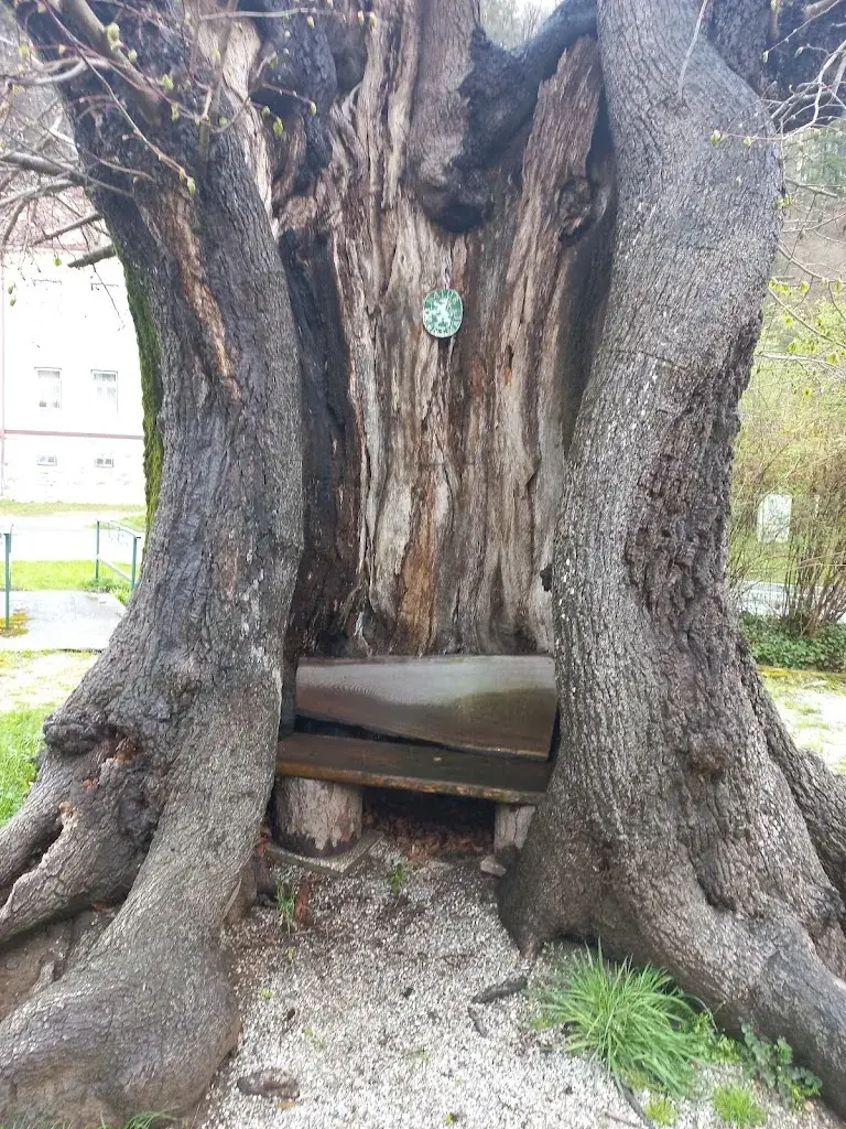 G.or.G Schwarz_Gasthaus zum Huberwirt_Stattegg_review