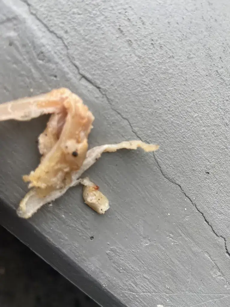 Lolo Banen_Stallhofner Pizzeria & Kebap_Stallhofen_review