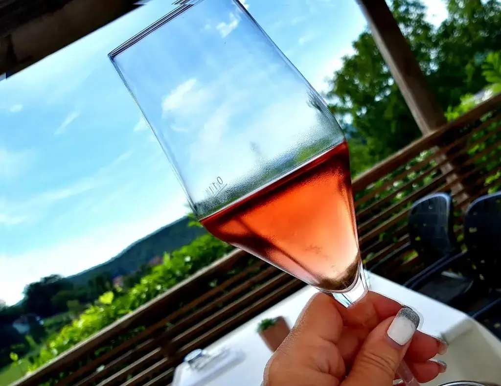 Menu_Saziani Restaurant & Hotel_Straden_image_7