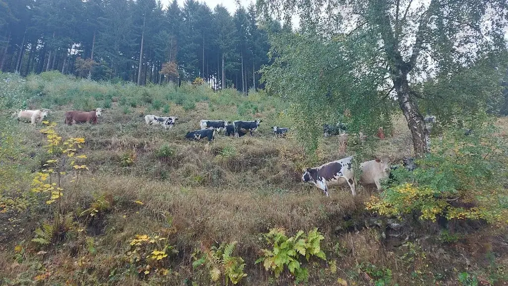 Jessica hinsinger_Auberge du Diefenbach_Stambach_avis