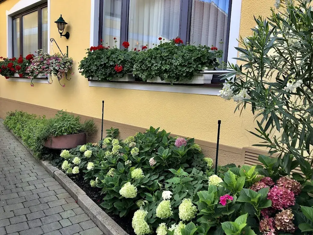 Natalia Khilkevitch_Restaurant Schütz_Weiden am See_review