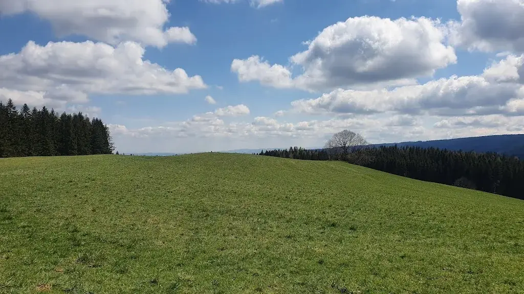 Igor Petriček_Bio - Hotel - Alpengasthof Koralpenblick_Trahütten_review