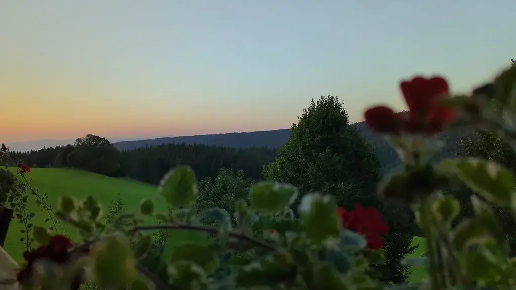 Bio - Hotel - Alpengasthof Koralpenblick_Trahütten_slider_image_2