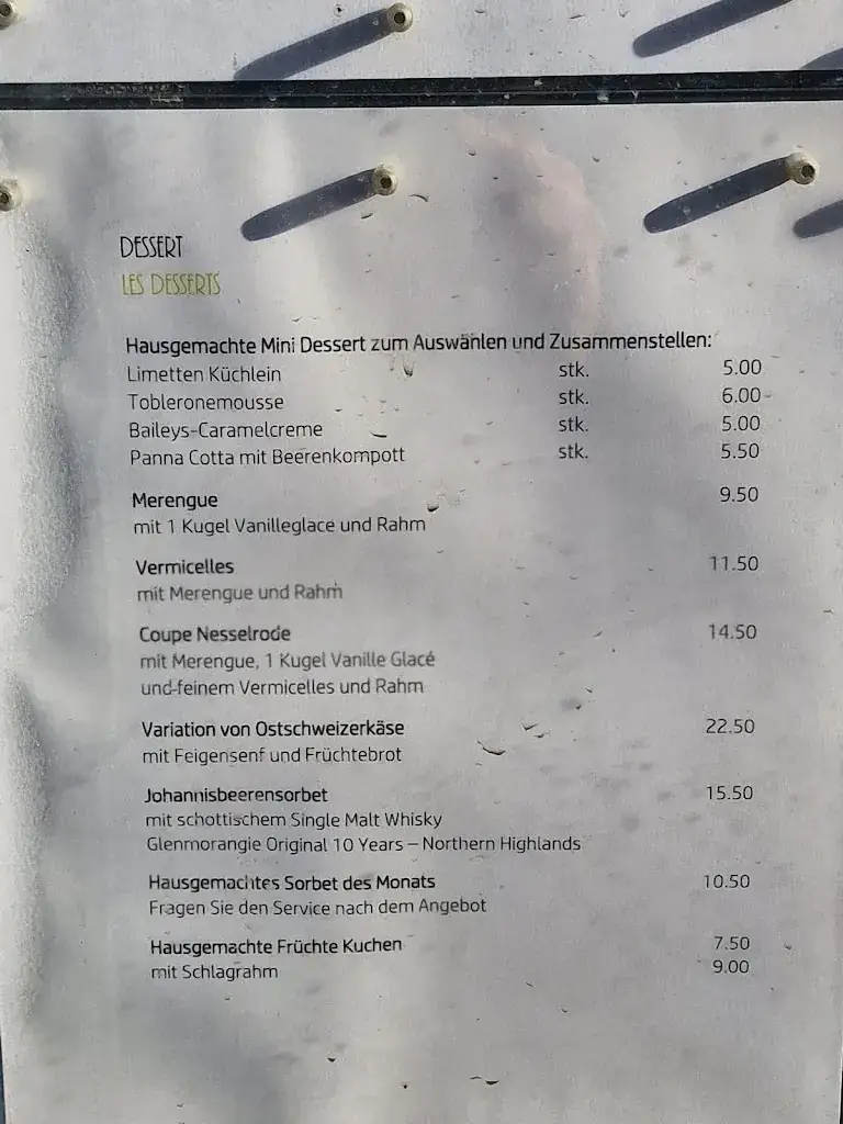 Menu_Burg Hohenklingen_Stein_immagine_2