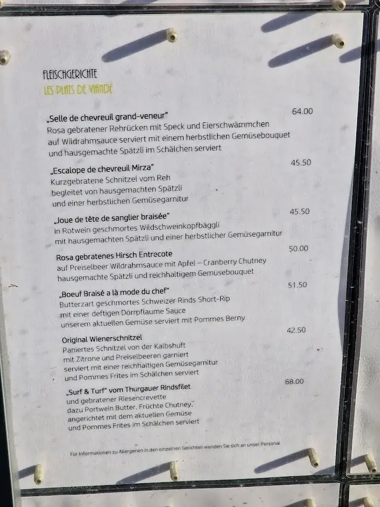 Menu_Burg Hohenklingen_Stein_immagine_3