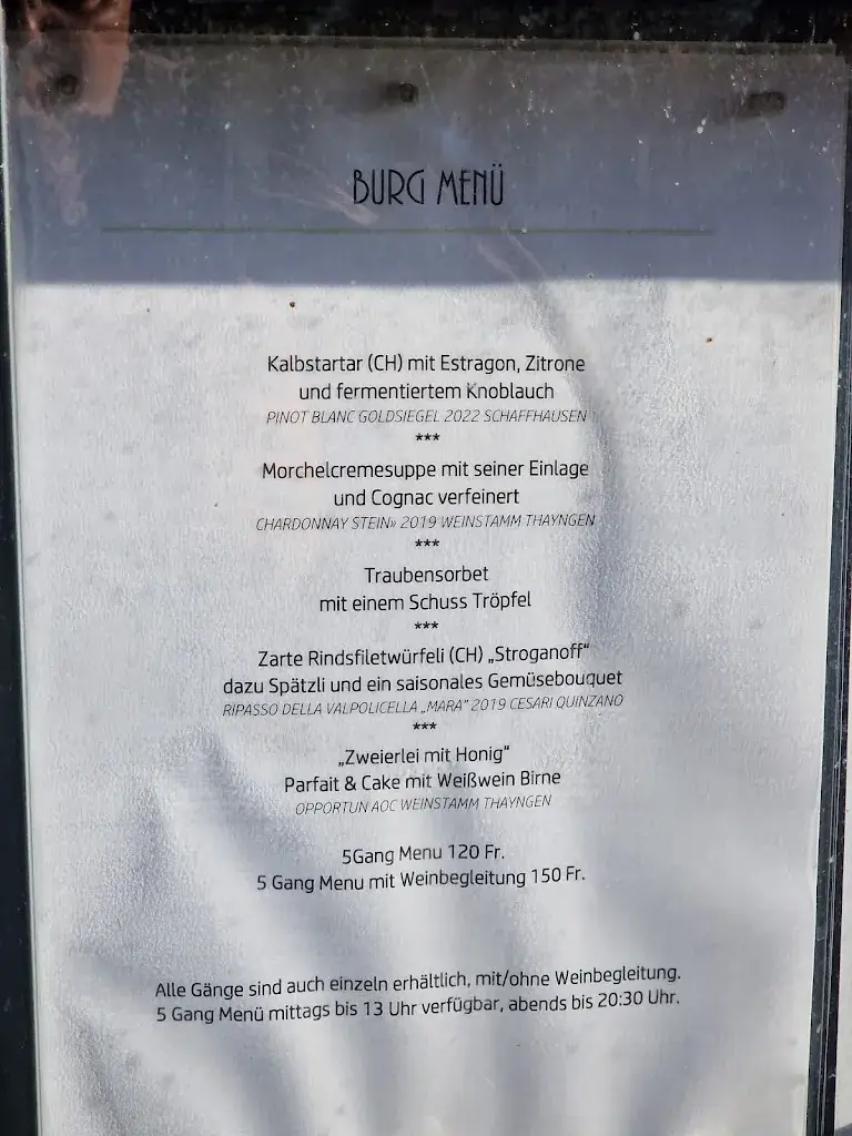 Menu_Burg Hohenklingen_Stein_immagine_4