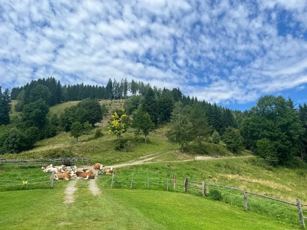 Wurmalmhütte_Turnau_slider_image_3