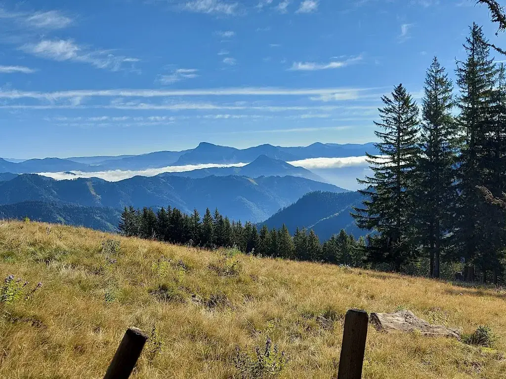 Marco Taferner_Almhütte Plotscherbauer_Übelbach_review