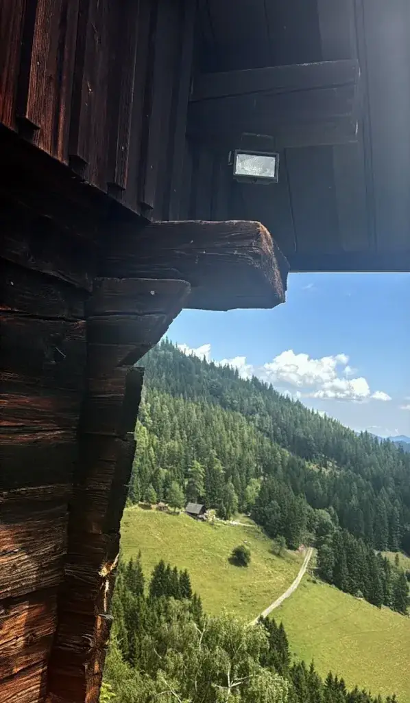 Alexandru-Gabriel Taran_Almhütte Plotscherbauer_Übelbach_review