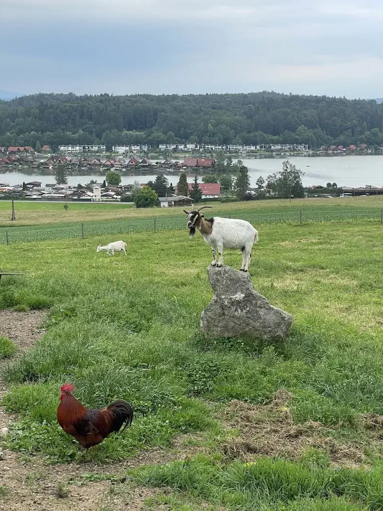 Natalia Shkliar_Stiarl Hof_Wettmannstätten_review