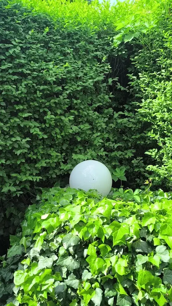 Gasthaus Zur Traube_Wetzelsdorf_slider_image_2