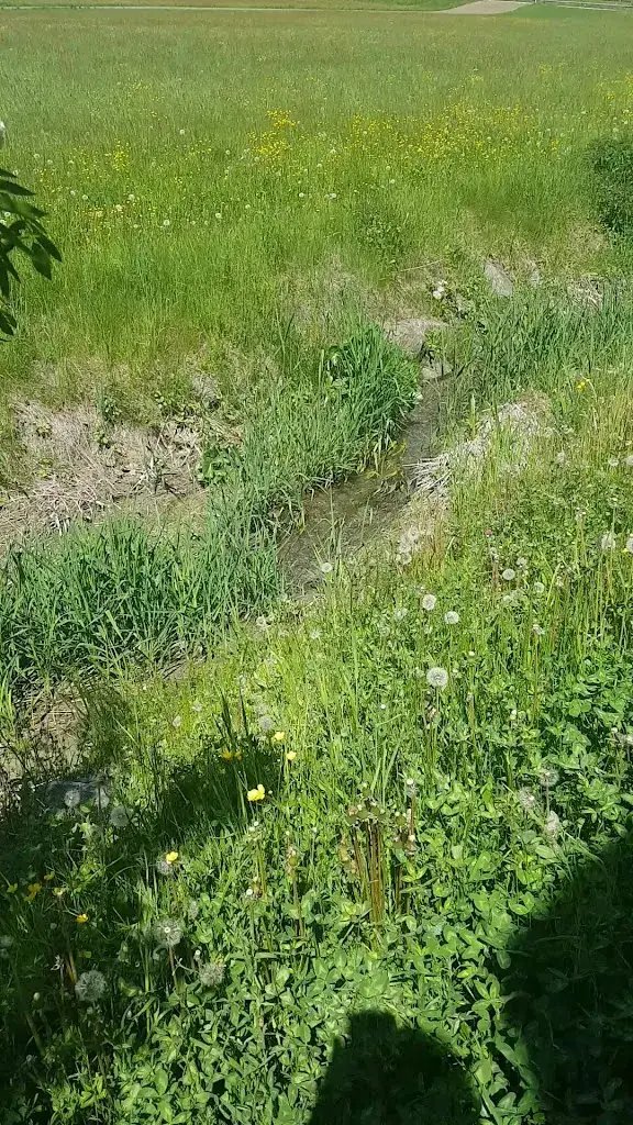 Ferienhaus Viktoria Osttirol Abfaltersbach/Osttirol_Abfaltersbach_slider_image_1