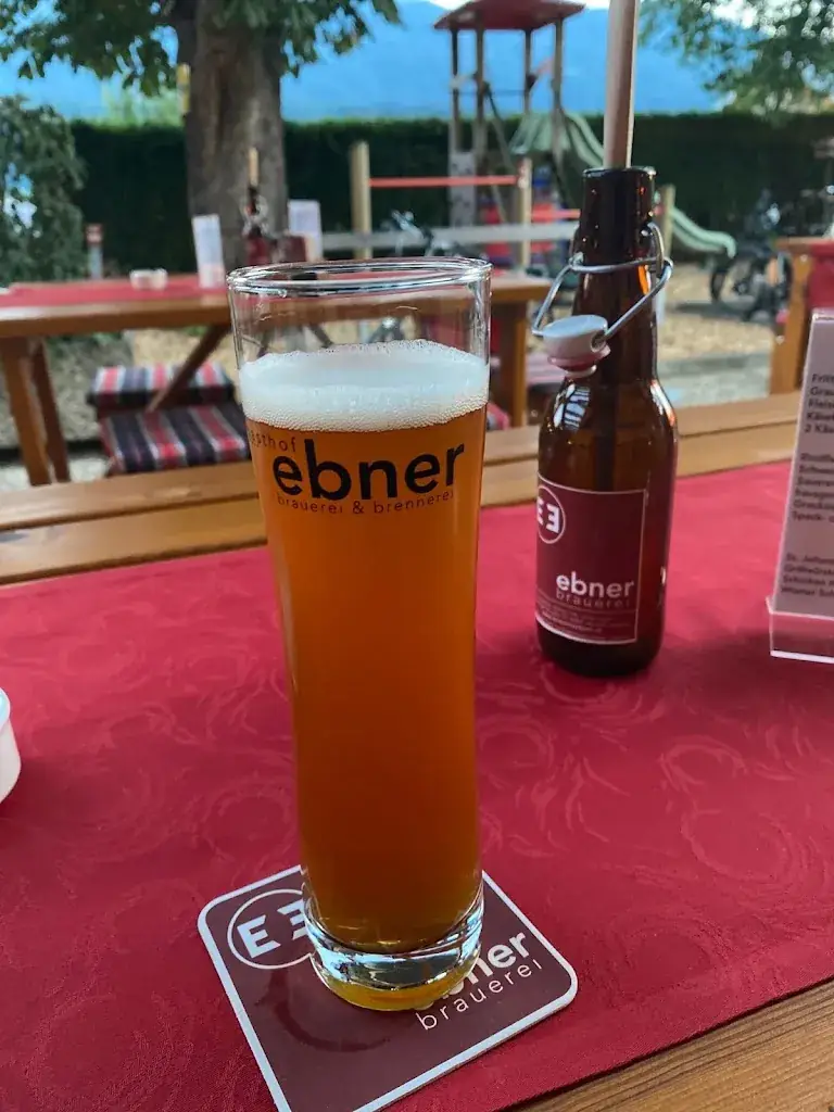 Andrei Teodorescu_Gasthof Ebner_Absam_recensione