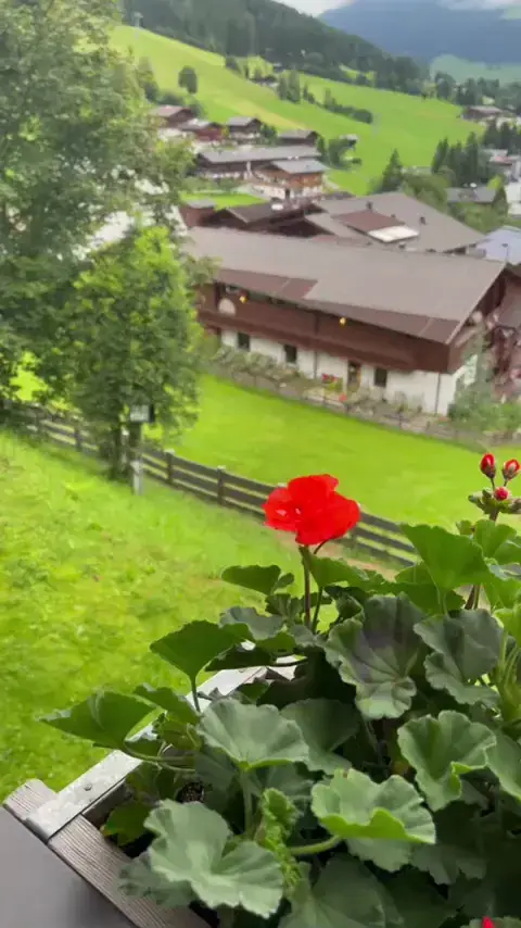 عموري احمد_Zirmalm_Alpbach_review