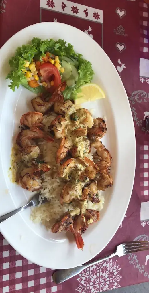 Abdelaziz Sahoo_Zirmalm_Alpbach_review