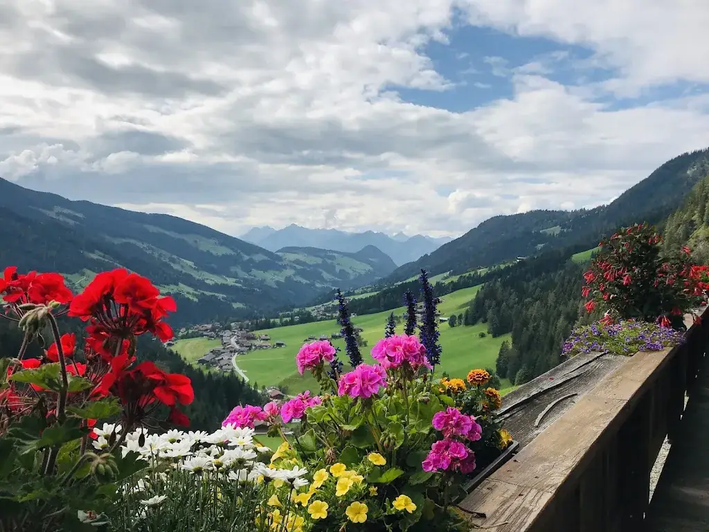 Cheng Chen_Jausenstation Zottahof_Alpbach_avis