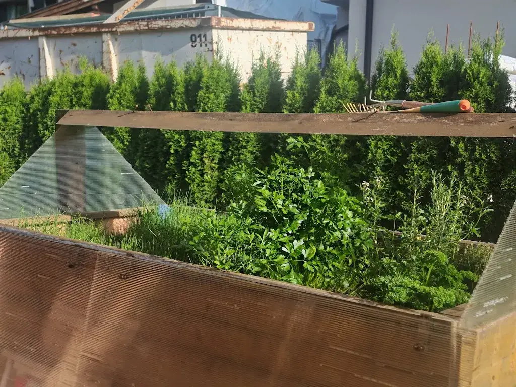 Taner Schenker_Gisi's Kulinarikstadl_Achenkirch_recensione