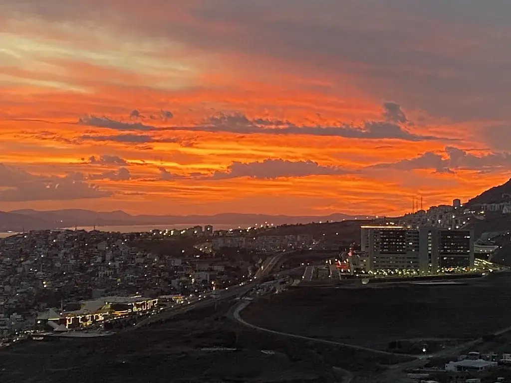 Wild Bean Café_Angath_slider_image_2