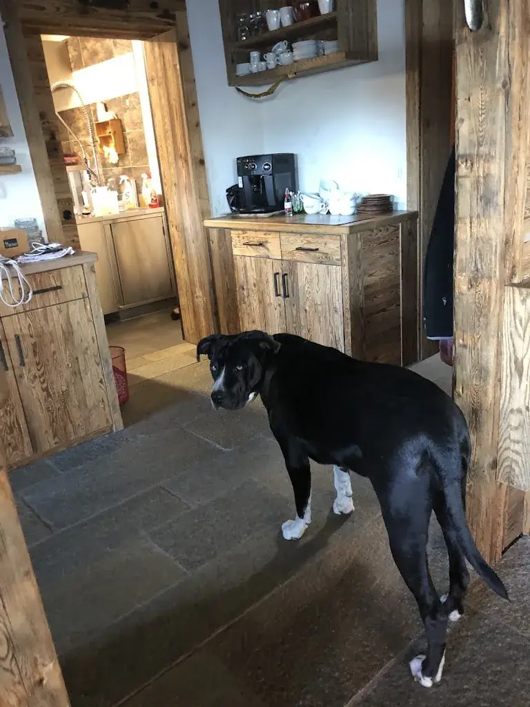 Kaho Tsukaguchi_BuchackerAlm - BlackAngusAlm_Angerberg_recensione