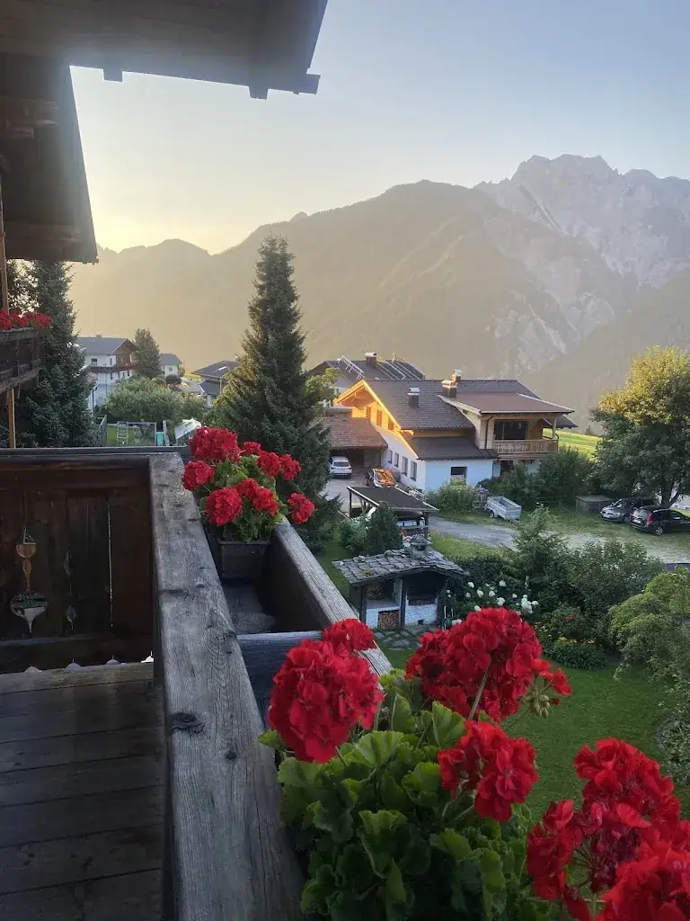 Elyssa Spector_Hotel Pfleger_Anras_avis