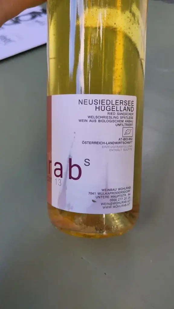 Sascha 8a_Weinbau Wohlrab_Wulkaprodersdorf_recensione