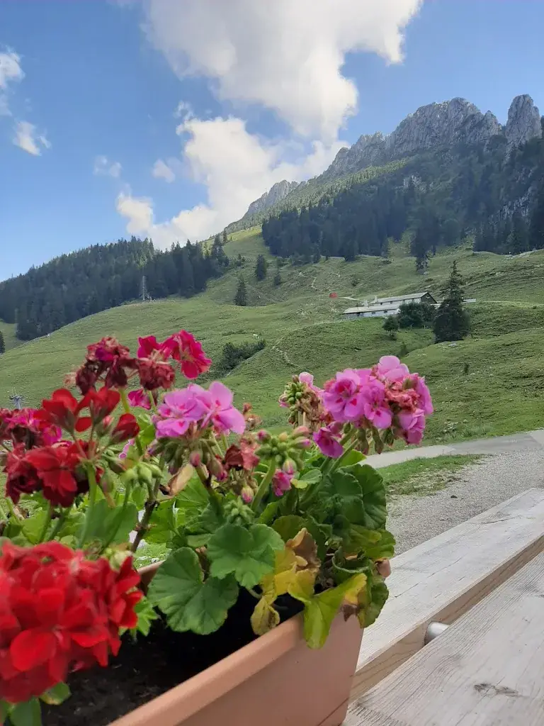 Graciella Daniswara_Gori Alm_Aschau_avis