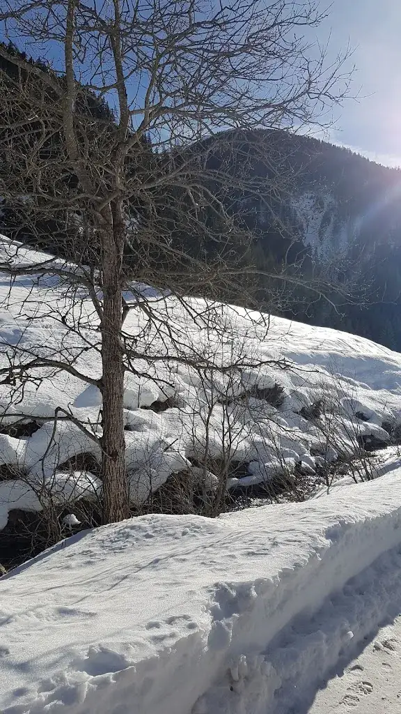 T. K._Reiterstube_Außervillgraten_review