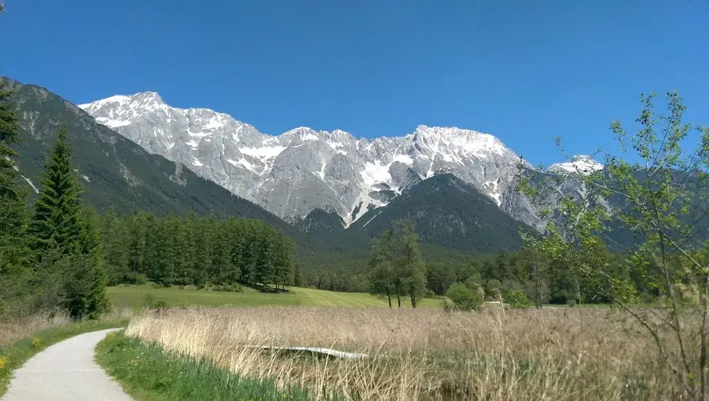 Neil Dayus_Moosalm_Barwies_avis