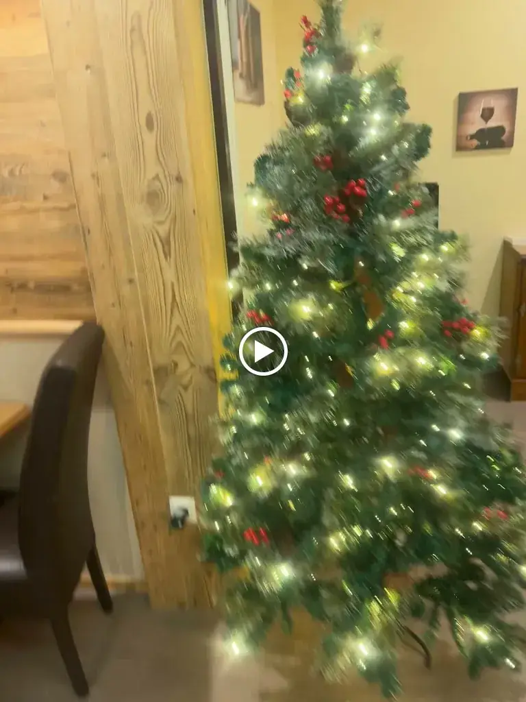 PIZZERIA DOMINO Restaurant_Bad Häring_slider_image_2