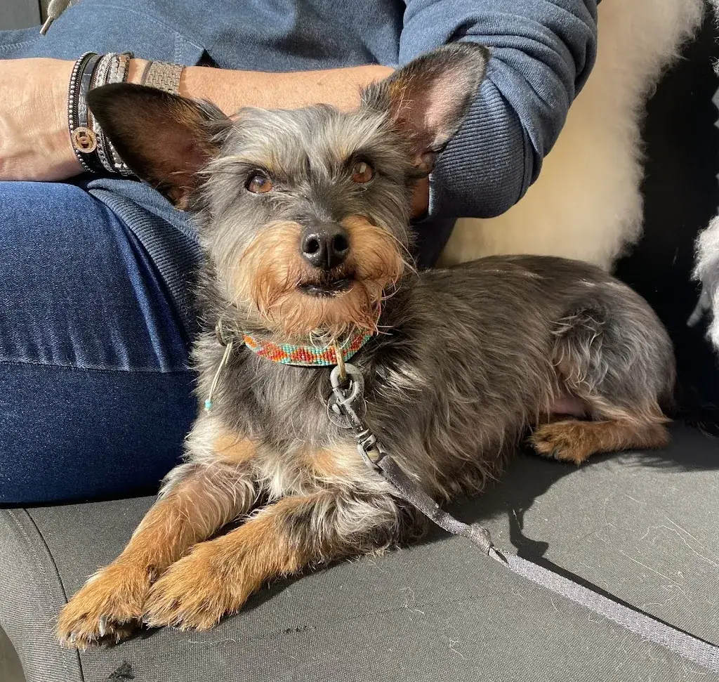 NAN Rotterdam_Gasthof Mähbergstüberl_Bichlbach_avis