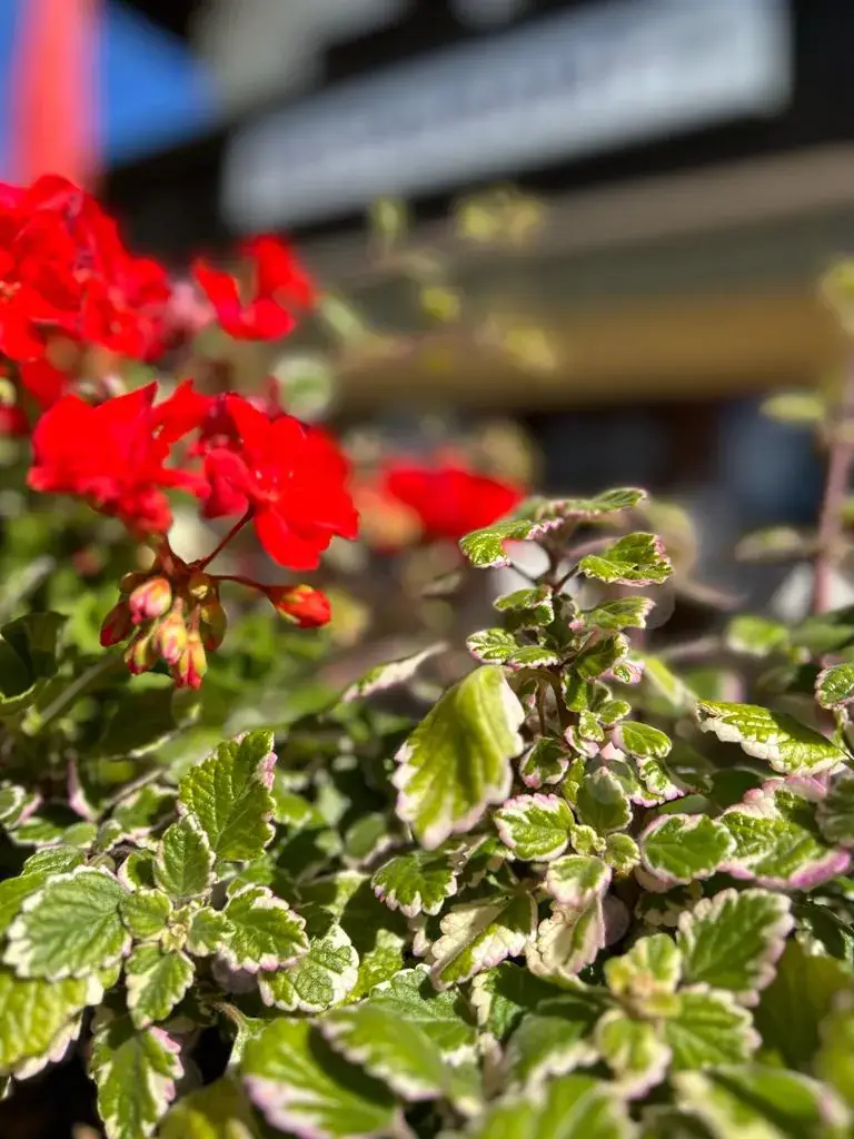 Menu_Dorfrestaurant Birgitz_Birgitz_image_8