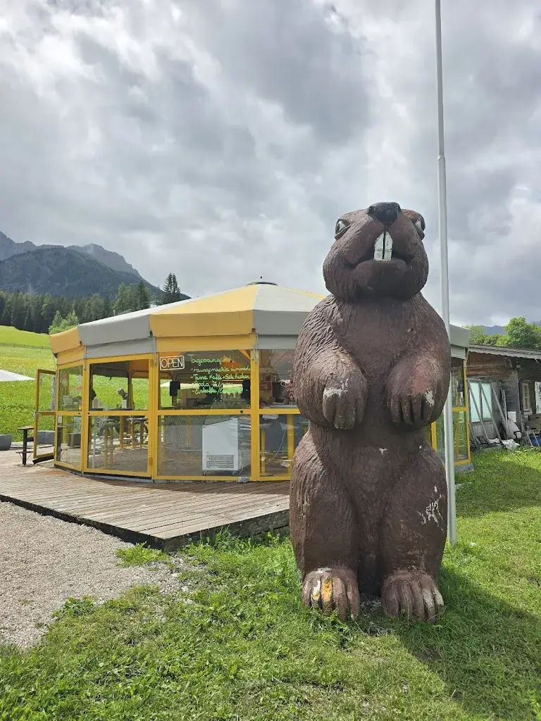 Biberschirm_Biberwier_slider_image_3