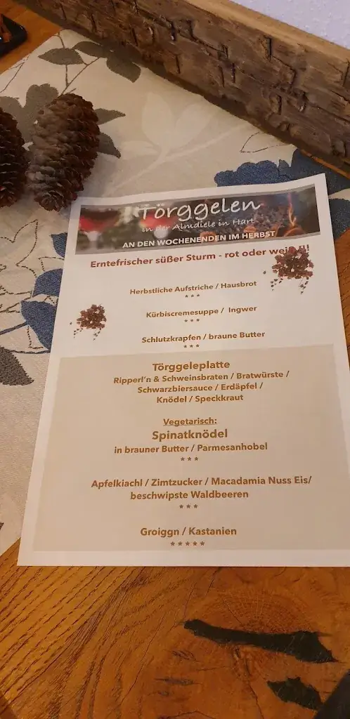 Menu_Restaurant Appartements Almdiele_Bruck am Ziller_image_2