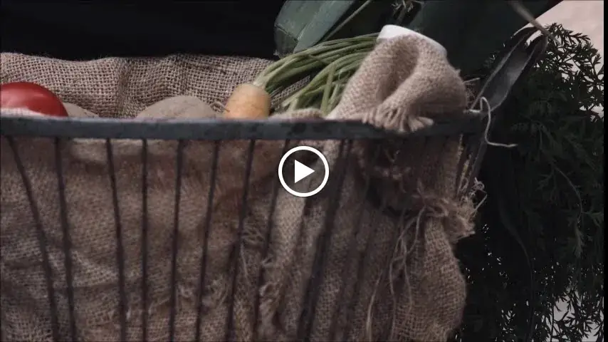 Gasthaus Marinelli das Kultlokal Dölsach_Dölsach_slider_image_2