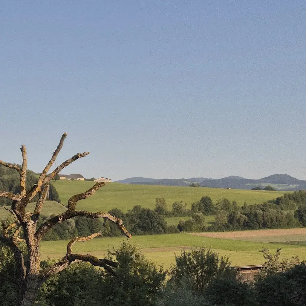 Daniela Fav_Gasthof Winkelwirt_Althofen_recensione