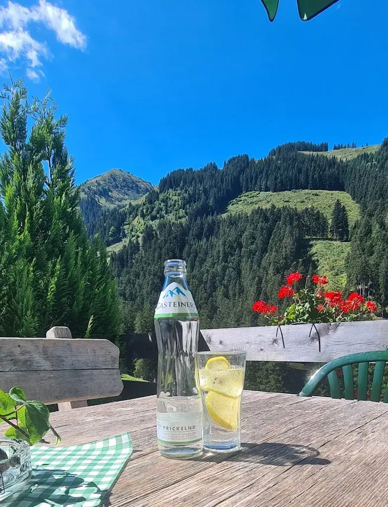 Joyce Knoops_Brixenbachalm_Brixen im Thale_recensione