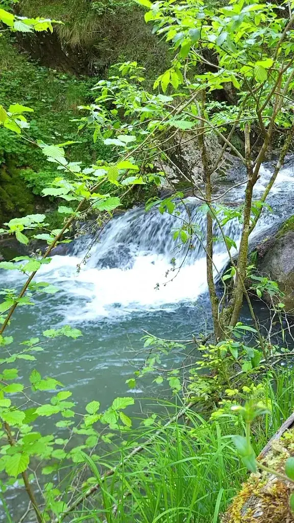 C. L._Gasthaus Kupitz_Bad Eisenkappel_recensione