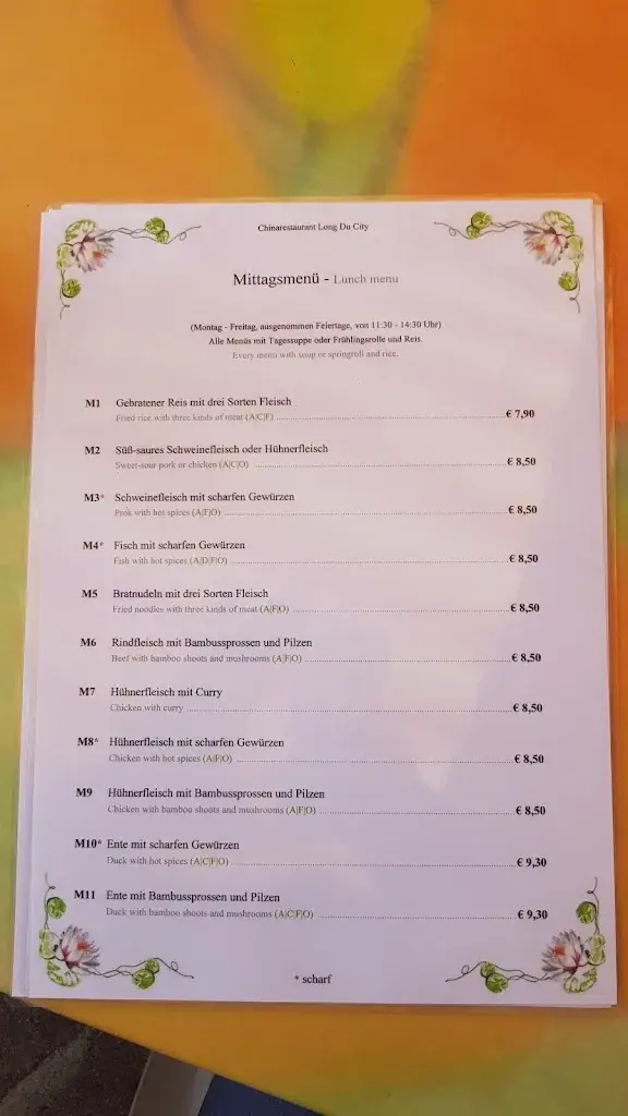 Menu_China Restaurant Long Du City - Yan & Huang KG_Brixlegg_immagine_2