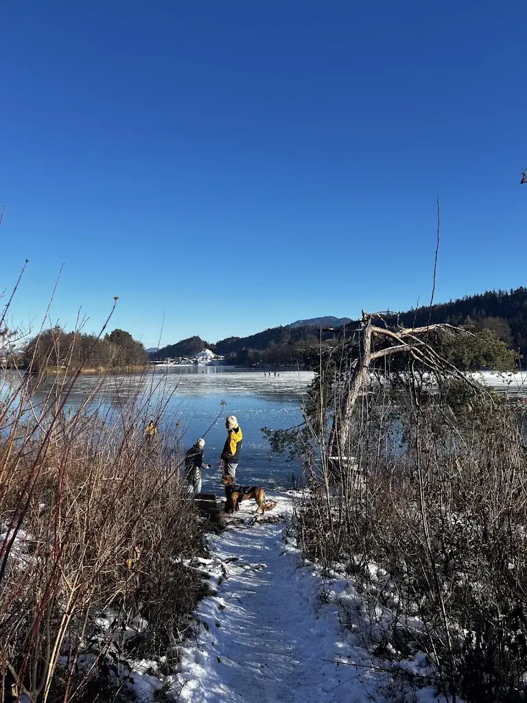 Piotr “Lord” Dziekański-Vainola_Fischerstube Restaurant & Cafe_Brixlegg_Bewertung