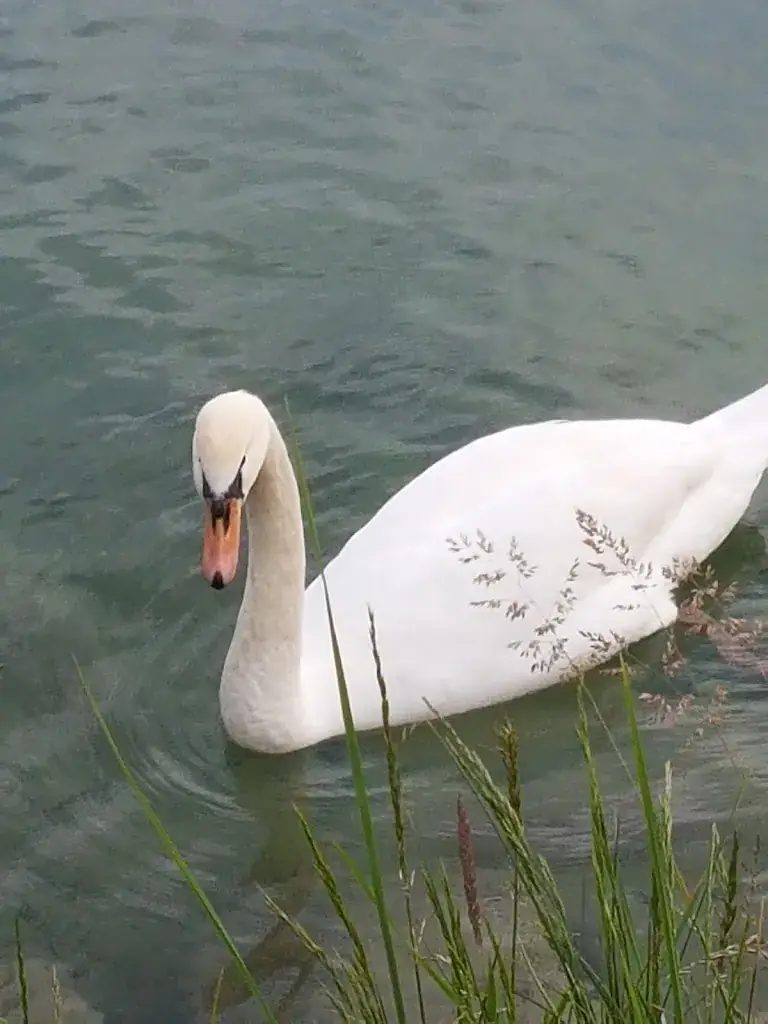 Einkehrplatzl_Ebbs_slider_image_3