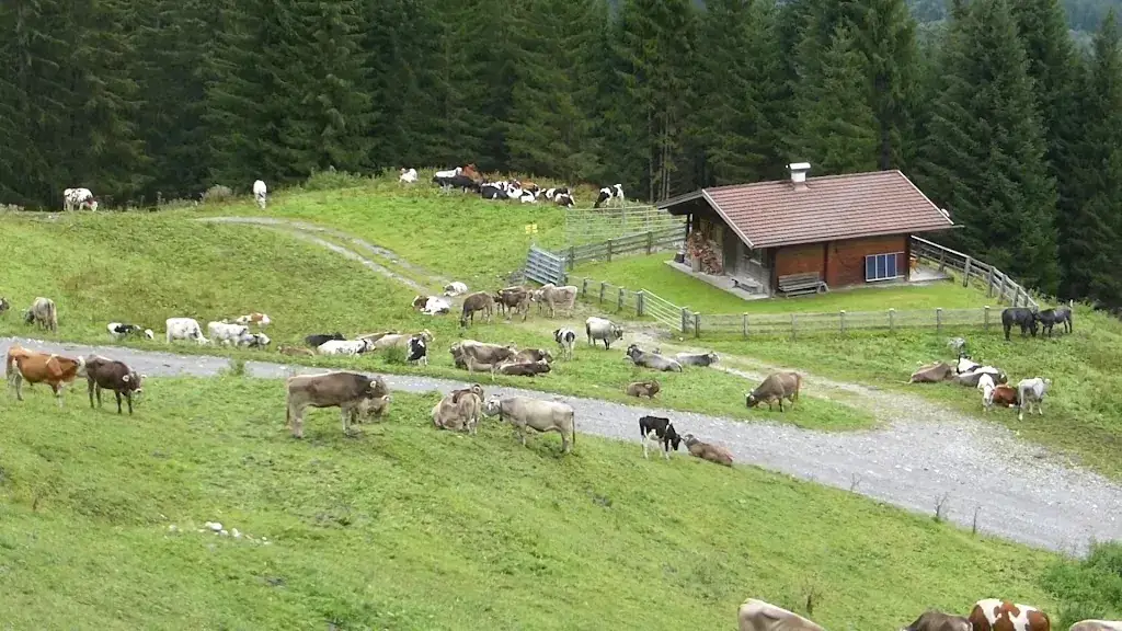 Kasermandl Berghütte - Restaurant & Alpin Apartments_Elbigenalp_slider_image_2