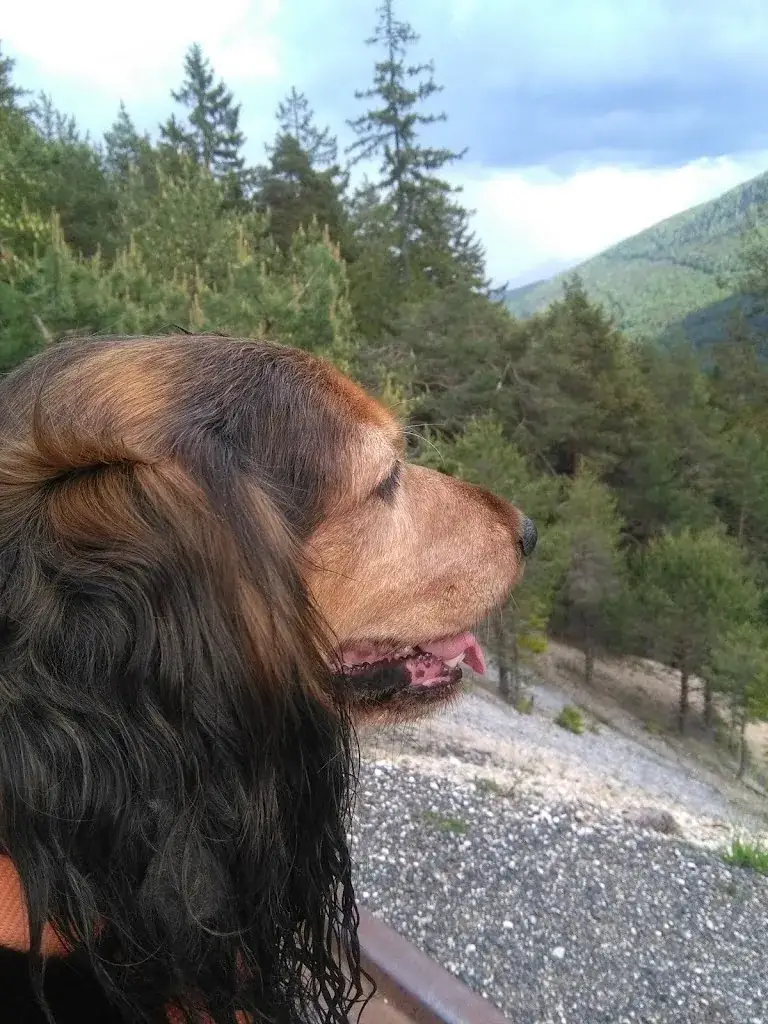 BLEI PUB_Bad Bleiberg_slider_image_3