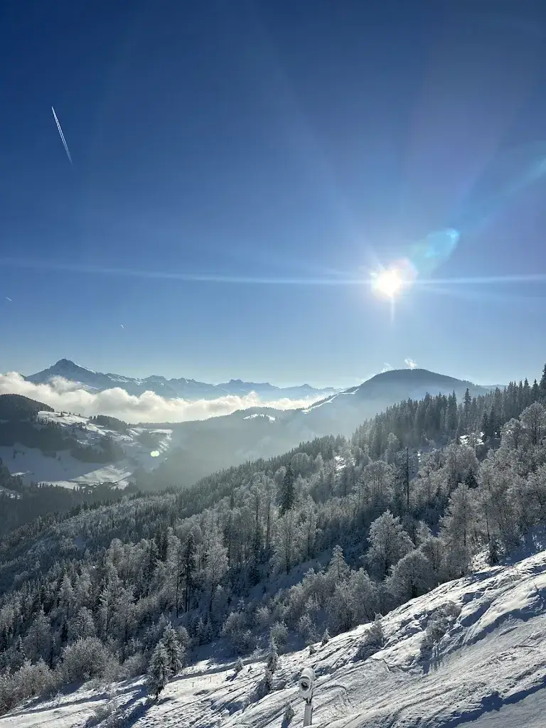 Michiel van der Meiden_Gasthaus Widauer - Lackner Elfriede_Ellmau_avis
