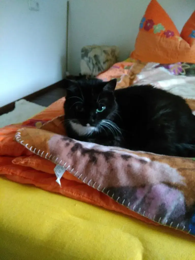 Gasthaus Schredfeld_Erpfendorf_slider_image_2