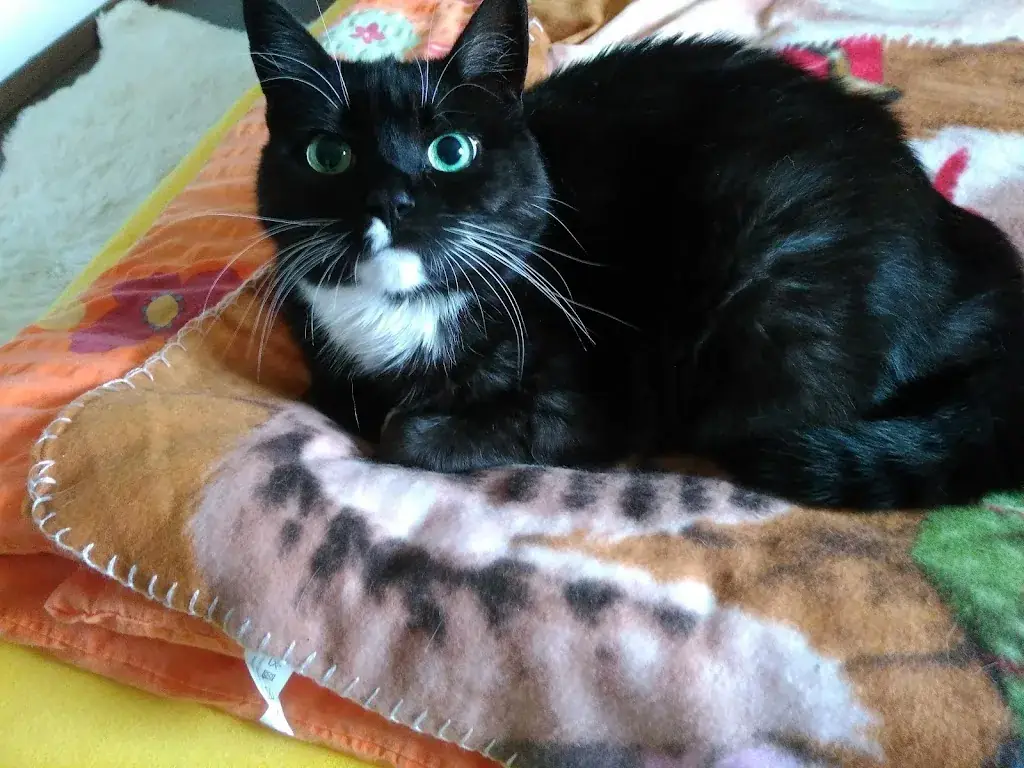 Gasthaus Schredfeld_Erpfendorf_slider_image_3